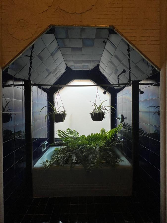 Iturbide500 Hostal 圣路易斯波托西 外观 照片